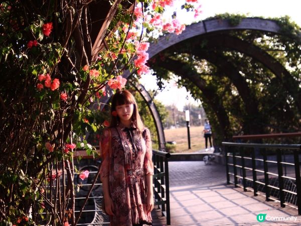 花架廣場🌹💐三星果藤🪻⛲️