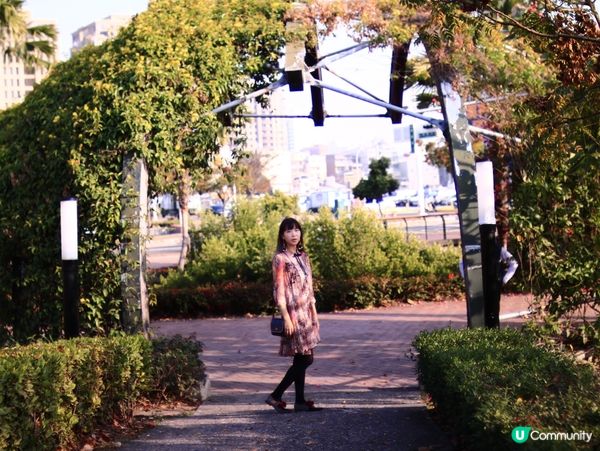花架廣場🌹💐三星果藤🪻⛲️