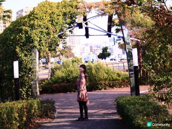 花架廣場🌹💐三星果藤🪻⛲️