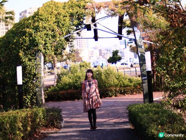 花架廣場🌹💐三星果藤🪻⛲️