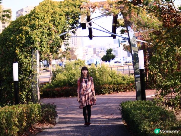 花架廣場🌹💐三星果藤🪻⛲️