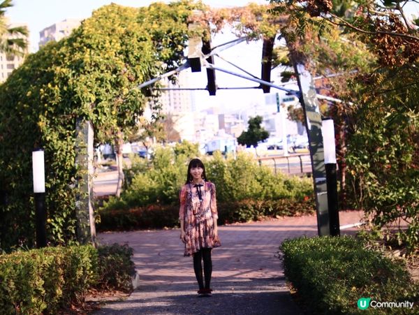 花架廣場🌹💐三星果藤🪻⛲️