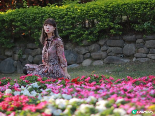 ⛲️中都濕地公園的🌹季節花海與涼亭⛱️😌