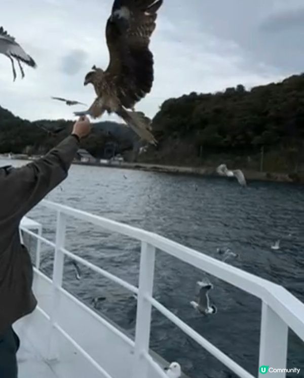 大阪海鷗之旅