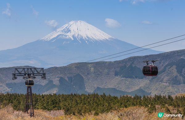 #打造韓系浪漫廚房 #淨白透亮520 #韓式髮型神器