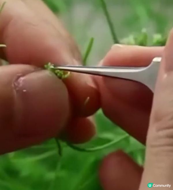 🧴🧴 La Mer 保濕面霜 🧴🧴