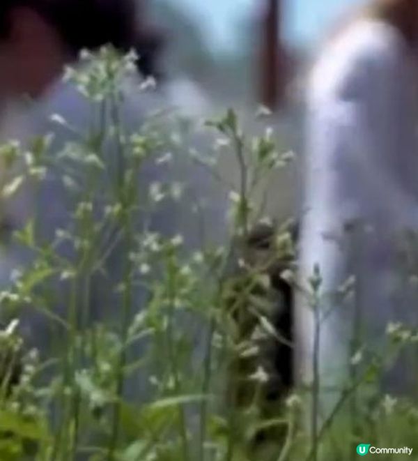 🧴🧴 La Mer 保濕面霜 🧴🧴