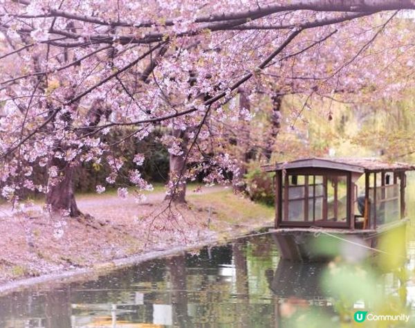 京都・伏見遊