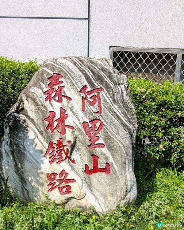 ## 🚂 懷舊火車園區打卡📸