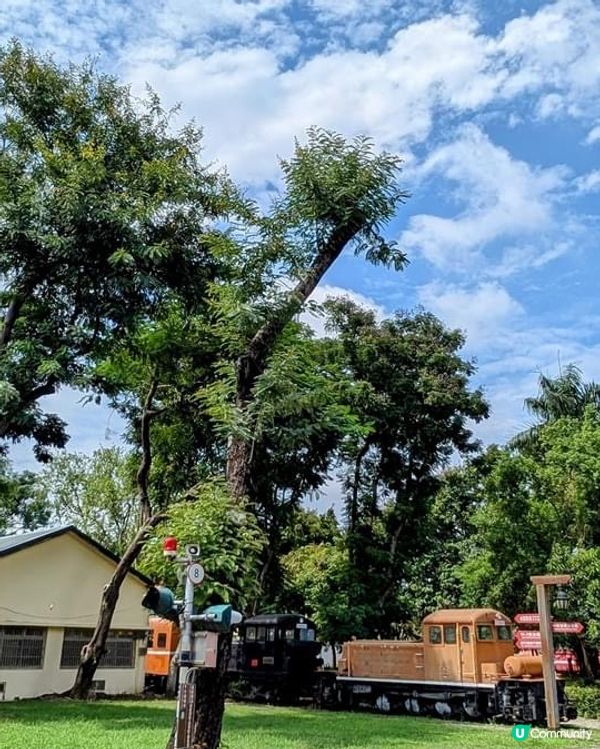## 🚂 懷舊火車園區打卡📸