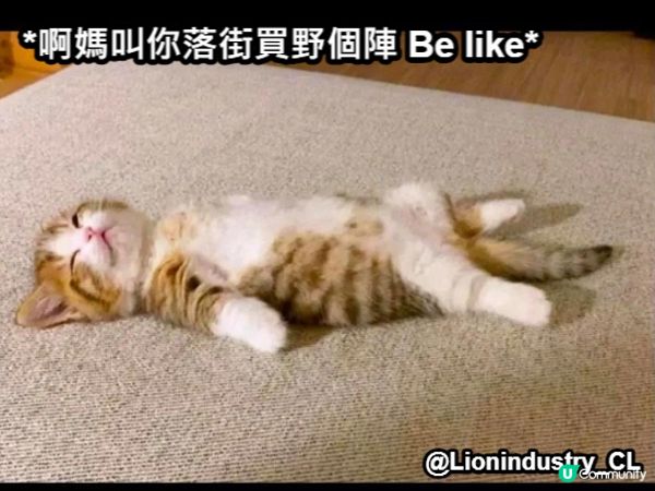 #光の喵砂#Photo-CAT-a-LITTER#貓砂#豆腐...