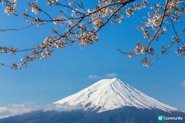 載住富士山返香港，我唔想走！🏔️#打造韓系浪漫廚房