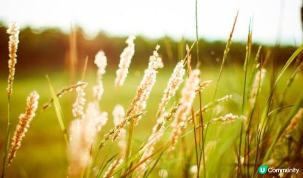 生命太短，沒留時間