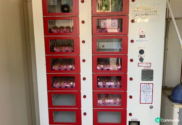 大阪附近的海灘