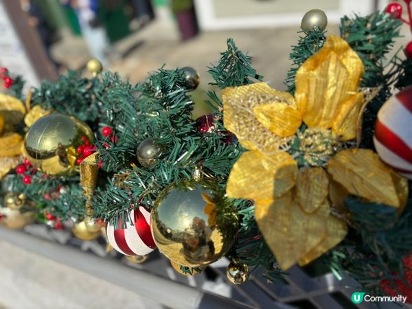 大嶼山天壇大佛昂坪360