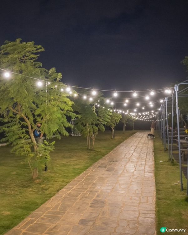 台中沙鹿夜景咖啡店-鹿雅森林