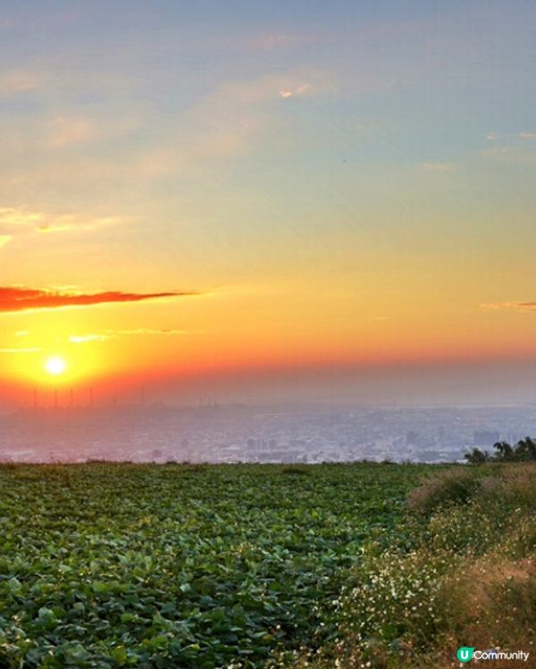 台中沙鹿夜景咖啡店-鹿雅森林