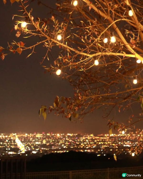 台中沙鹿夜景咖啡店-鹿雅森林