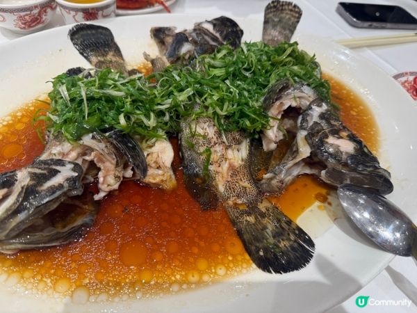 薑蔥蒸龍躉