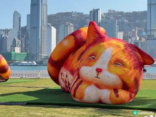三隻巨大充氣貓咪《夢遊喵境》係西九龍文化區