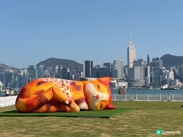 三隻巨大充氣貓咪《夢遊喵境》係西九龍文化區