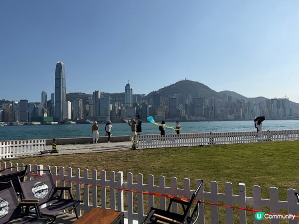 三隻巨大充氣貓咪《夢遊喵境》係西九龍文化區