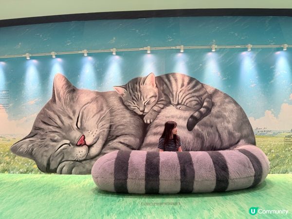 九龍灣寵物友善商場✨17樓仲有巨貓狗狗壁畫🎨🐾