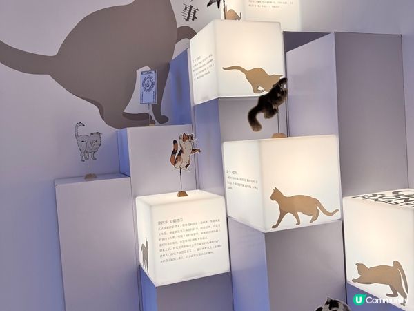 深圳最美書店—愈欣書店🤩