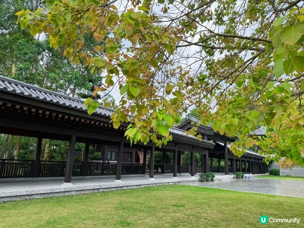 大埔打卡寺廟！慈山寺