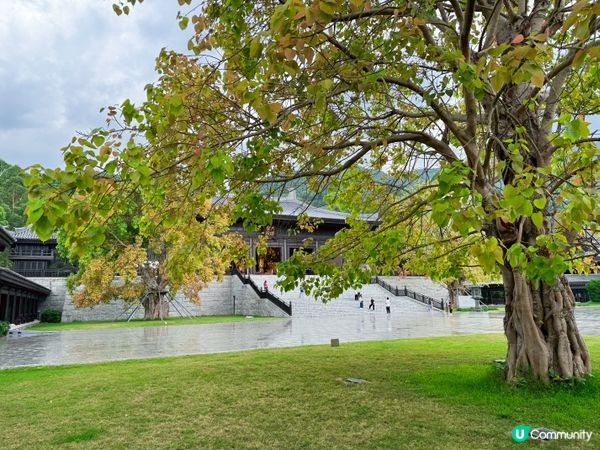 大埔打卡寺廟！慈山寺