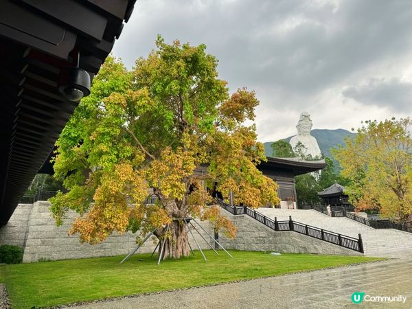 大埔打卡寺廟！慈山寺
