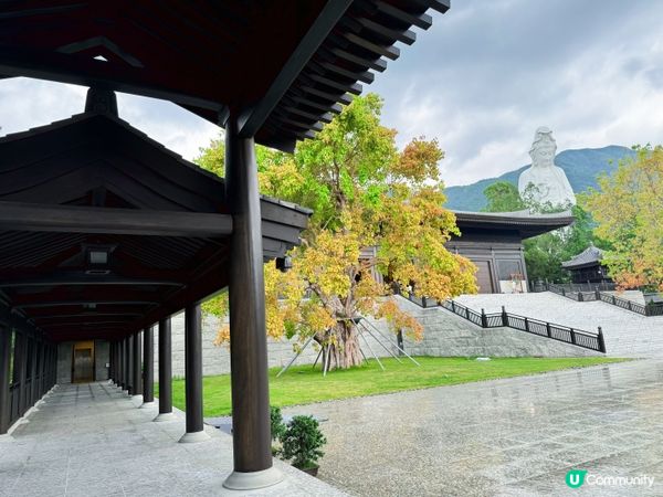 大埔打卡寺廟！慈山寺