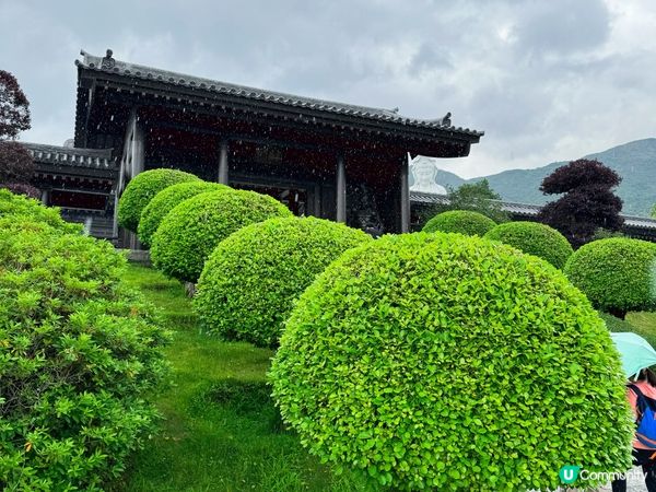 大埔打卡寺廟！慈山寺