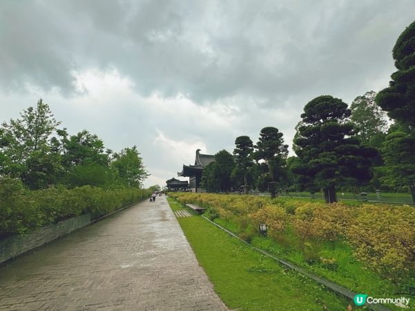 大埔打卡寺廟！慈山寺