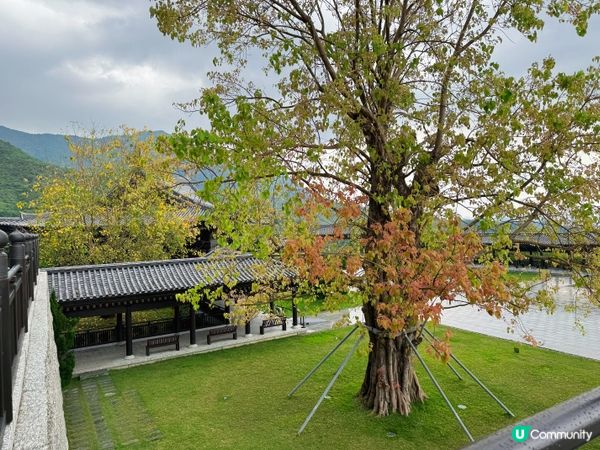 大埔打卡寺廟！慈山寺