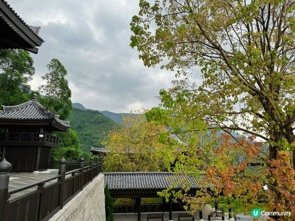 大埔打卡寺廟！慈山寺