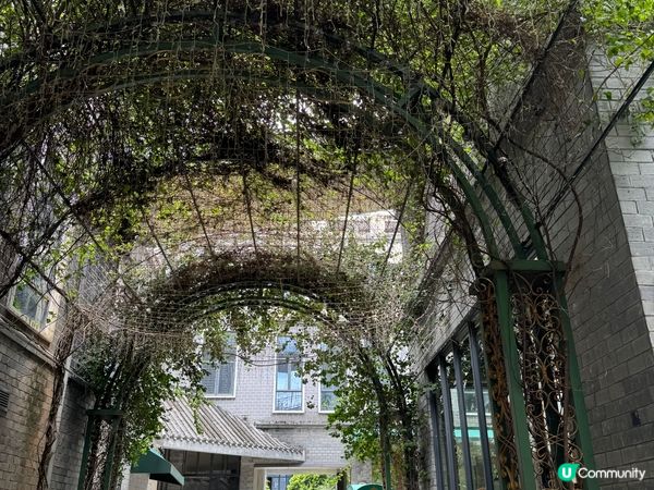 金坑古鎮,徽州建築保存完好,有宗祠院落､明清民居､商貿街道､...