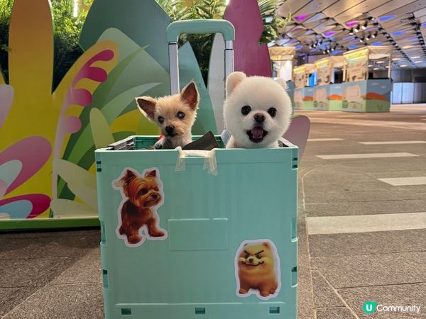 回頭率100%。佢哋係咪真既定係公仔。各位覺得？