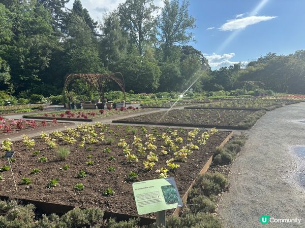 動植物公園法國版 【金頭公園】🐿️🦝🫎🐐🦆