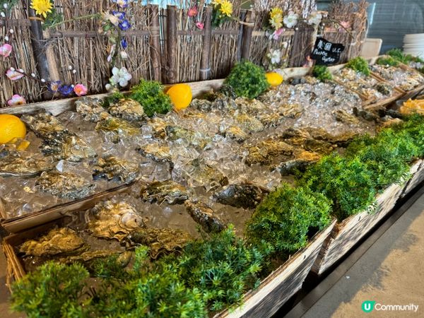 銅鑼灣高質自助餐推介！Mr steak!