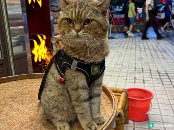 潮洲四面佛寺、古城、汕頭老街小公園，全部都很有特色景點，走著...