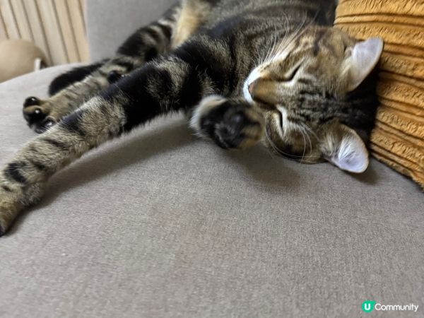 你可以成日扮靚樣比你影嫁?幫手影product 都完全冇問題...