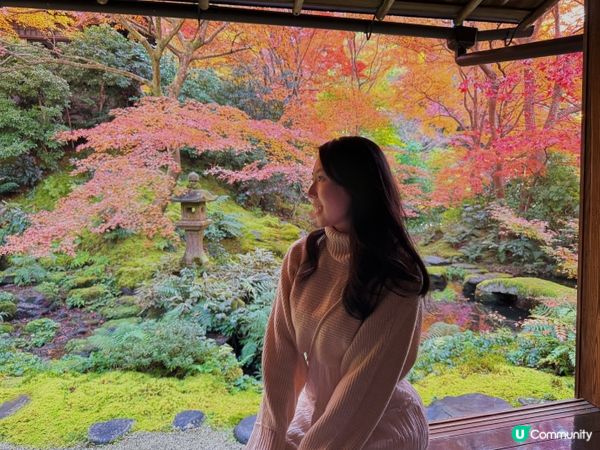 紅葉季必去嘅琉璃光院🍁