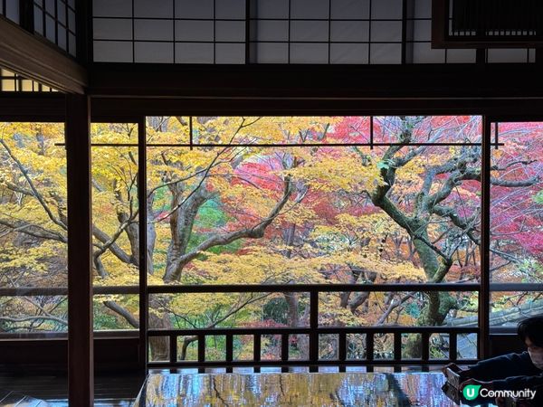 紅葉季必去嘅琉璃光院🍁