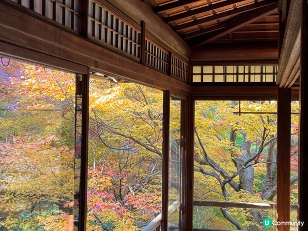 紅葉季必去嘅琉璃光院🍁