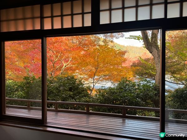 紅葉季必去嘅琉璃光院🍁