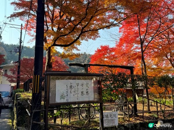 紅葉季必去嘅琉璃光院🍁