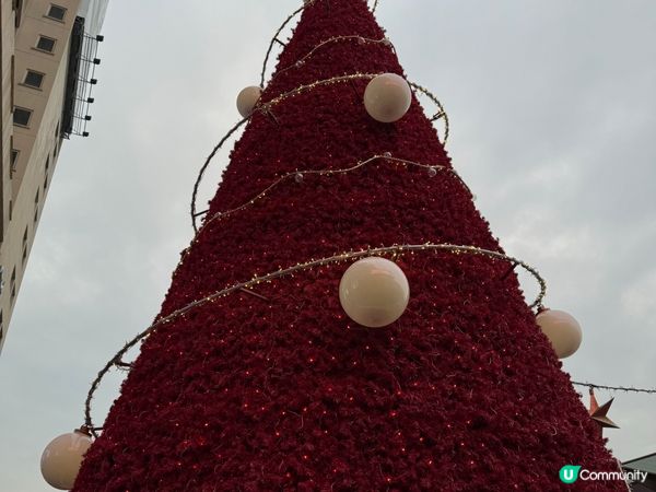 海港城聖誕🎄巨型木屋，童話世界等你！🤩