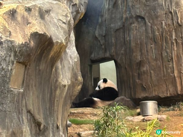 香港海洋公園 Ocean Park