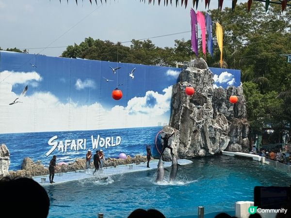泰國 Safari World